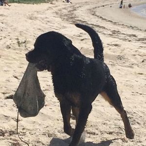 Meet your Posher, Tracey